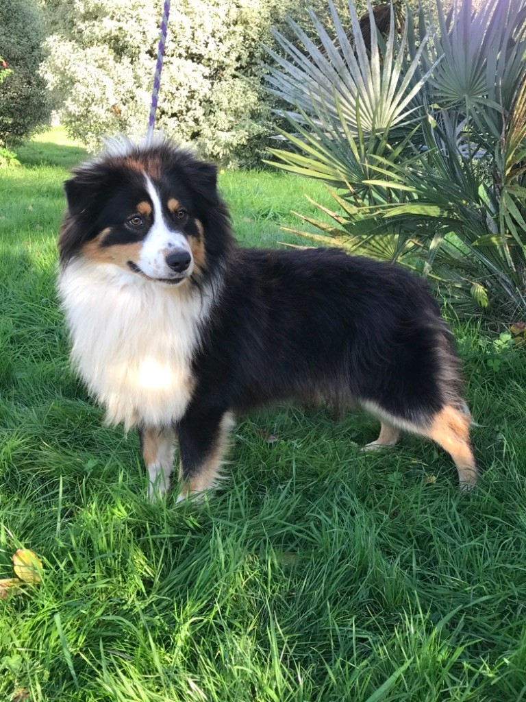 Rocco fredo du domaine de kerjonc